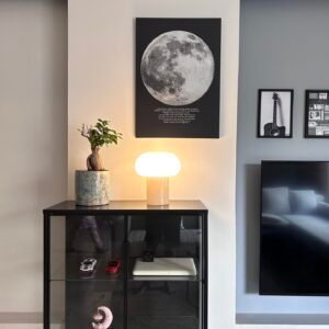 PJÄTTERYD Picture, Moonlight ~20"x28" by IKEA - Image 5