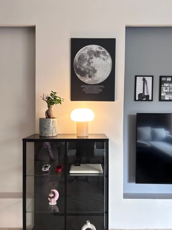 PJÄTTERYD Picture, Moonlight ~20"x28" by IKEA