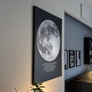 PJÄTTERYD Picture, Moonlight ~20"x28" by IKEA - Image 1